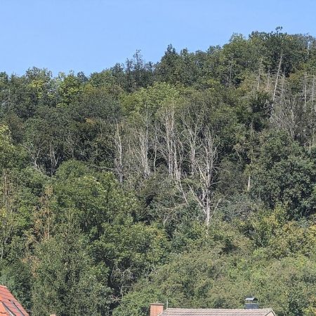 Ferienwohnung Mit Ausblick In Wimmelburg Dış mekan fotoğraf