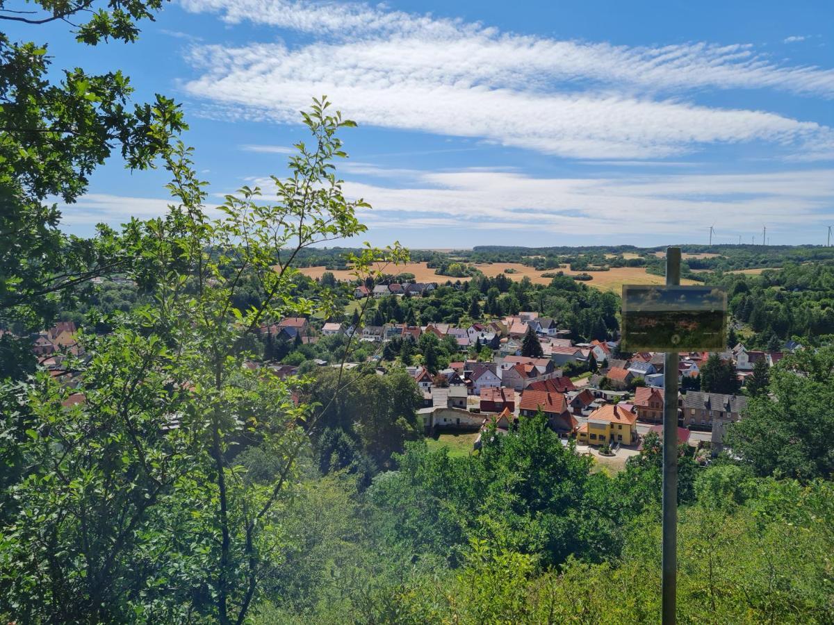 Ferienwohnung Mit Ausblick In Wimmelburg Dış mekan fotoğraf