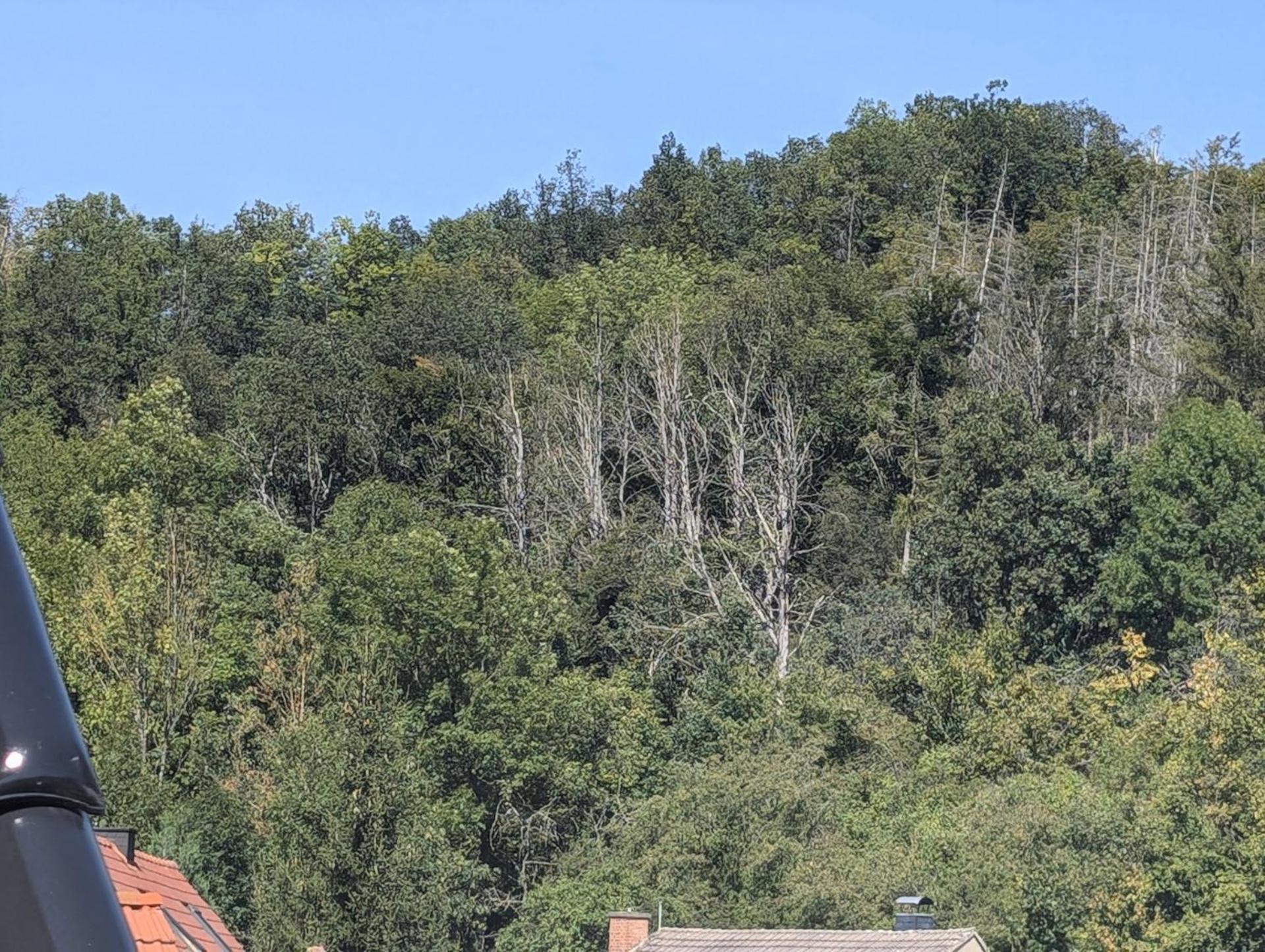 Ferienwohnung Mit Ausblick In Wimmelburg Dış mekan fotoğraf